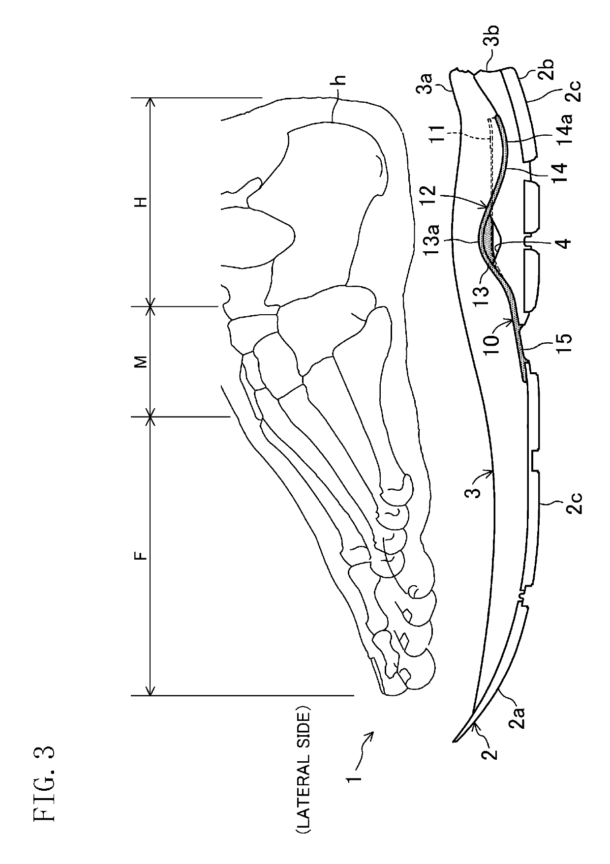 Sole structure for shoes and shoe with the sole structure