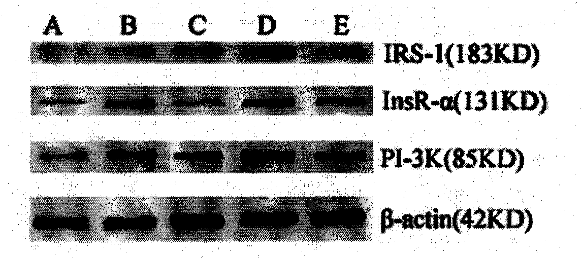 Non-insulin-dependent diabetes mellitus-resisting liriope spicata fructosan and preparation method and application thereof