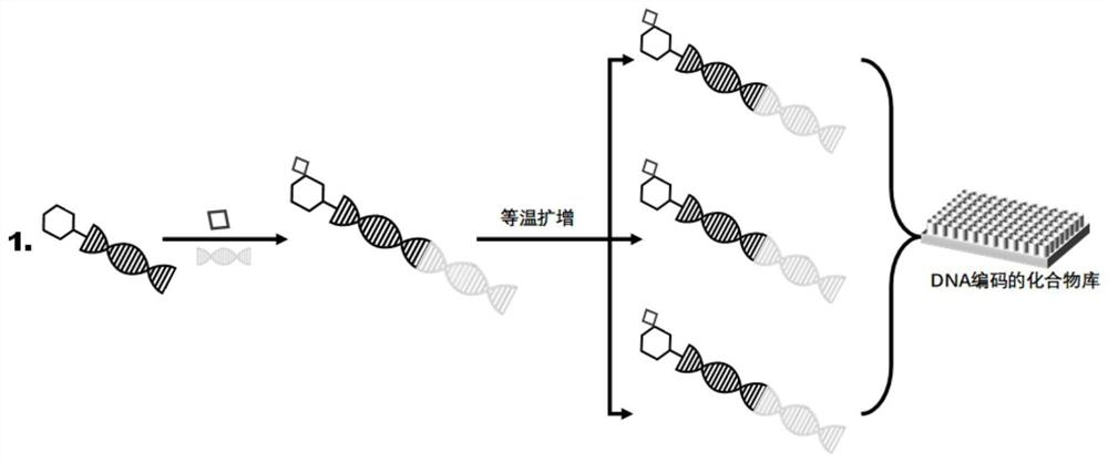 A DNA-encoded compound library drug molecule fishing method