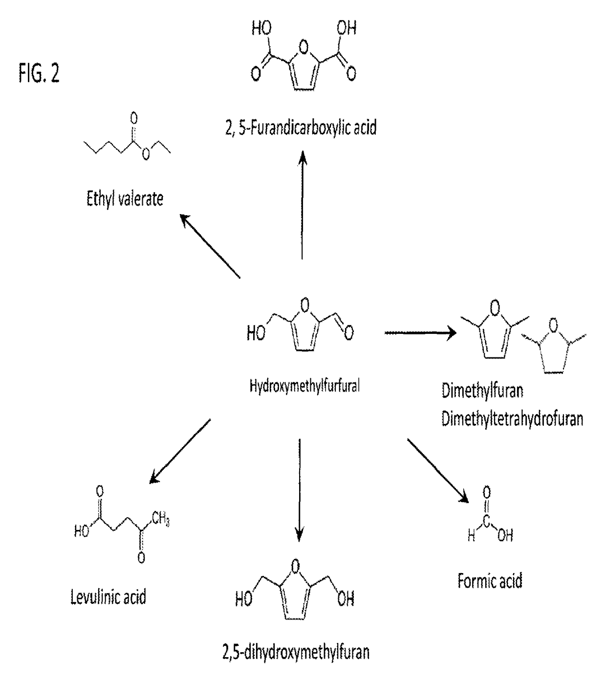 Method to produce furandicarboxylic acid (FDCA) from 5-hydroxymethylfurfural (HMF)