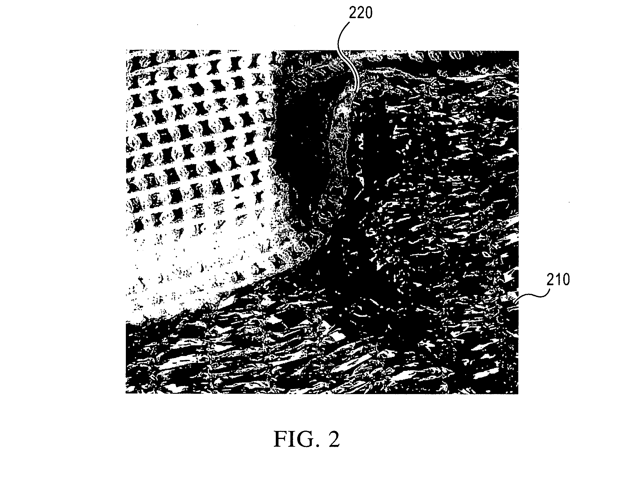 Device and method for cooling animals