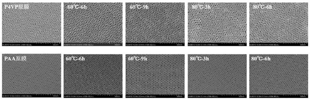 Method for preparing solvent-resistant and acid-alkali-resistant homoporous membrane through crosslinking