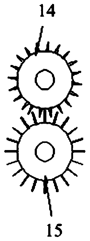 Mechanism for cleaning needle roller of winnowing machine