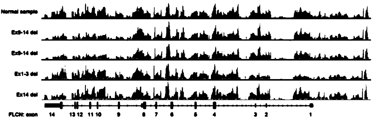 Target gene capture sequencing method for fast diagnosis and identification diagnosis of BHD syndrome and application