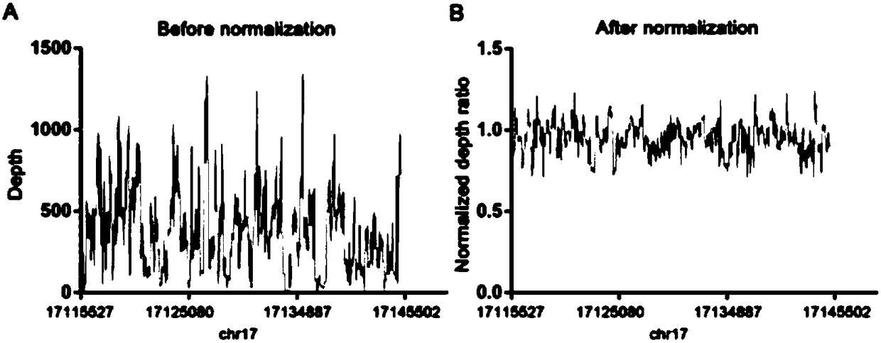 Target gene capture sequencing method for fast diagnosis and identification diagnosis of BHD syndrome and application