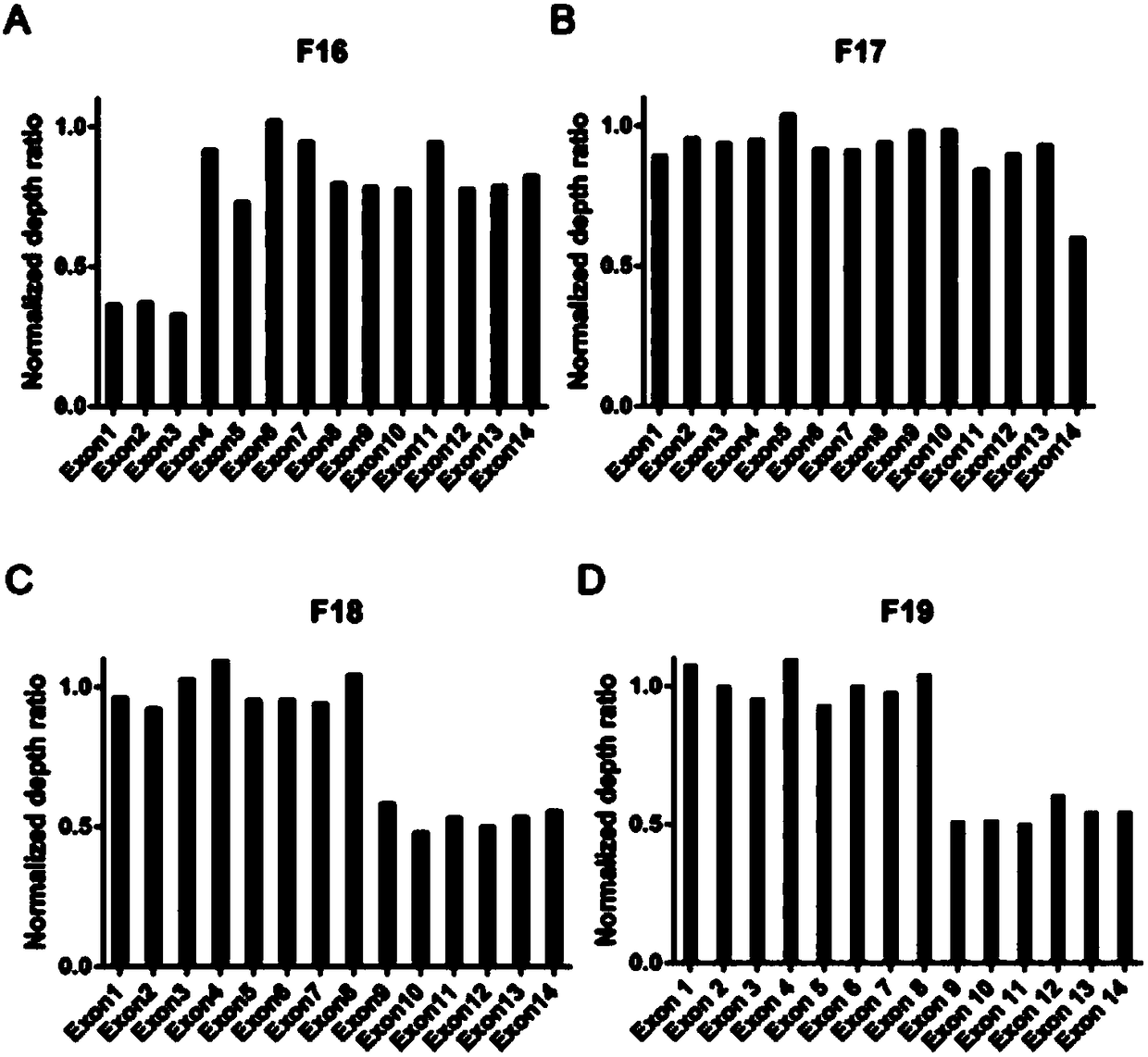 Target gene capture sequencing method for fast diagnosis and identification diagnosis of BHD syndrome and application