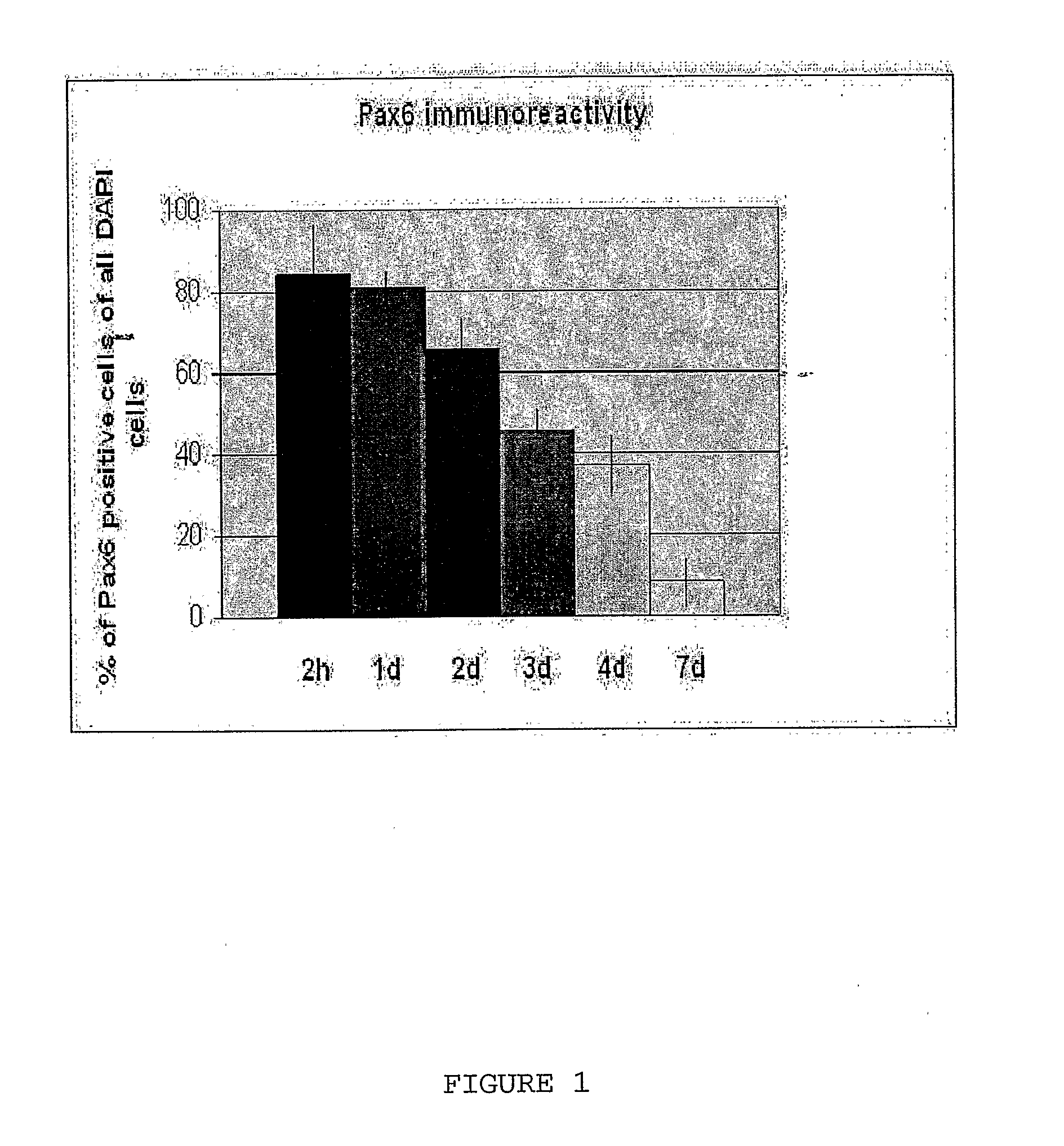 Neural Cell Differentiation Method From Es Cells