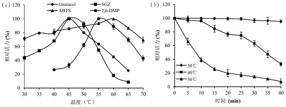 Moniliophthora perniciosa laccase and engineering bacteria, recombinant laccase as well as application thereof