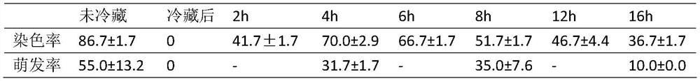 A method for improving the endosperm viability of the seeds of Alba dorsifolia after low-temperature preservation