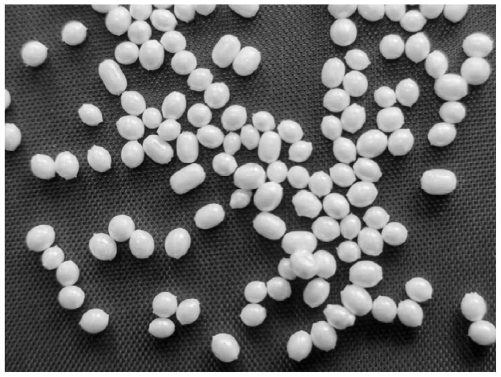 A kind of polyester foam beads and its semi-continuous preparation method and water vapor molding method