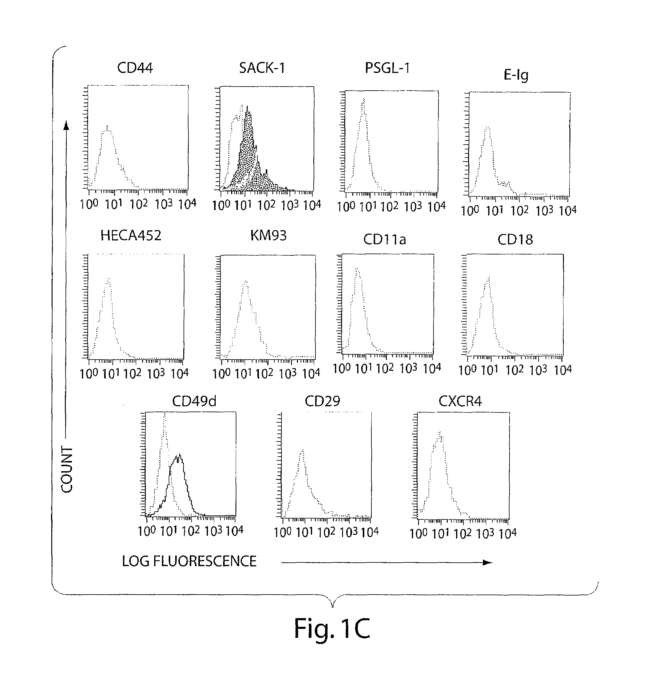 Compositions and Methods for Modifying Cell Surface Glycans