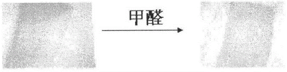 A kind of preparation method of formaldehyde-sensitive hyaluronic acid film sensor