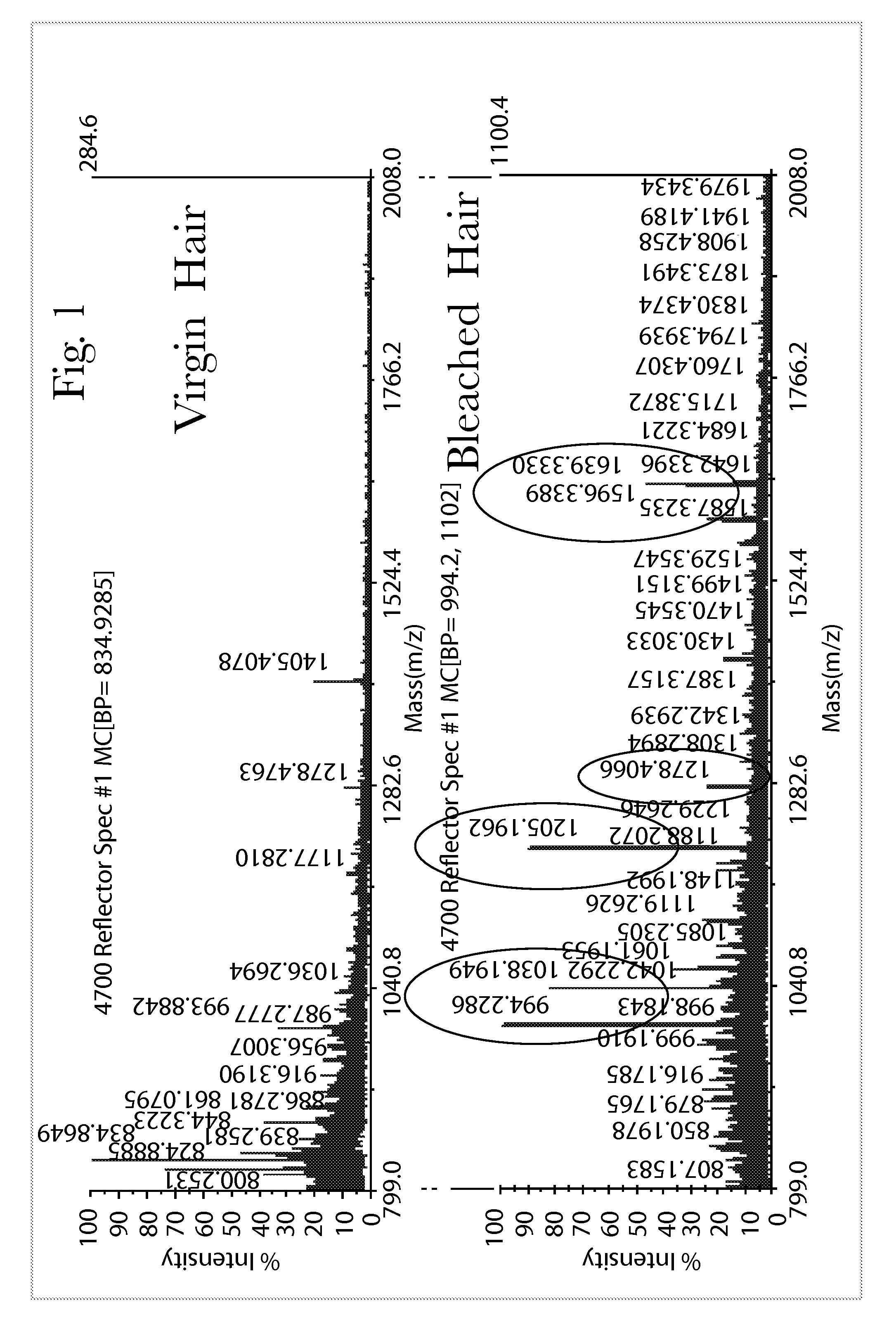 Systems and methods of detecting and demonstrating hair damage via evaluation of protein fragments