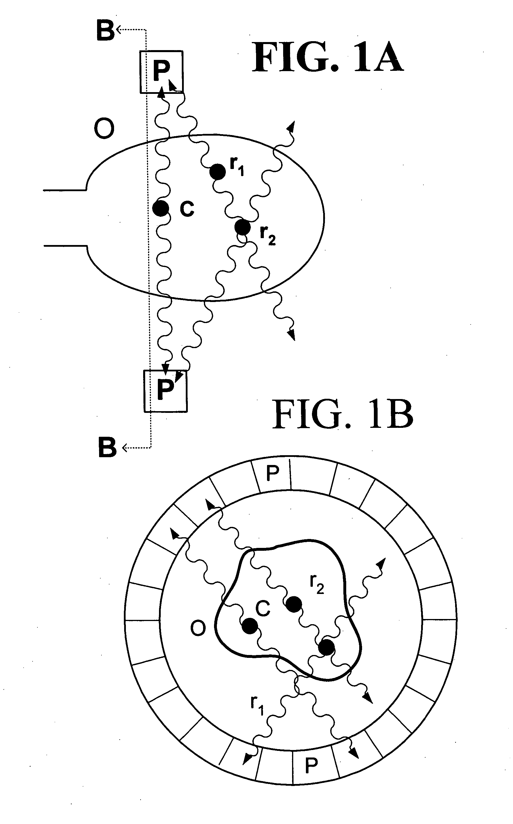 Method and apparatus for vetoing random coincidences in positron emission tomographs