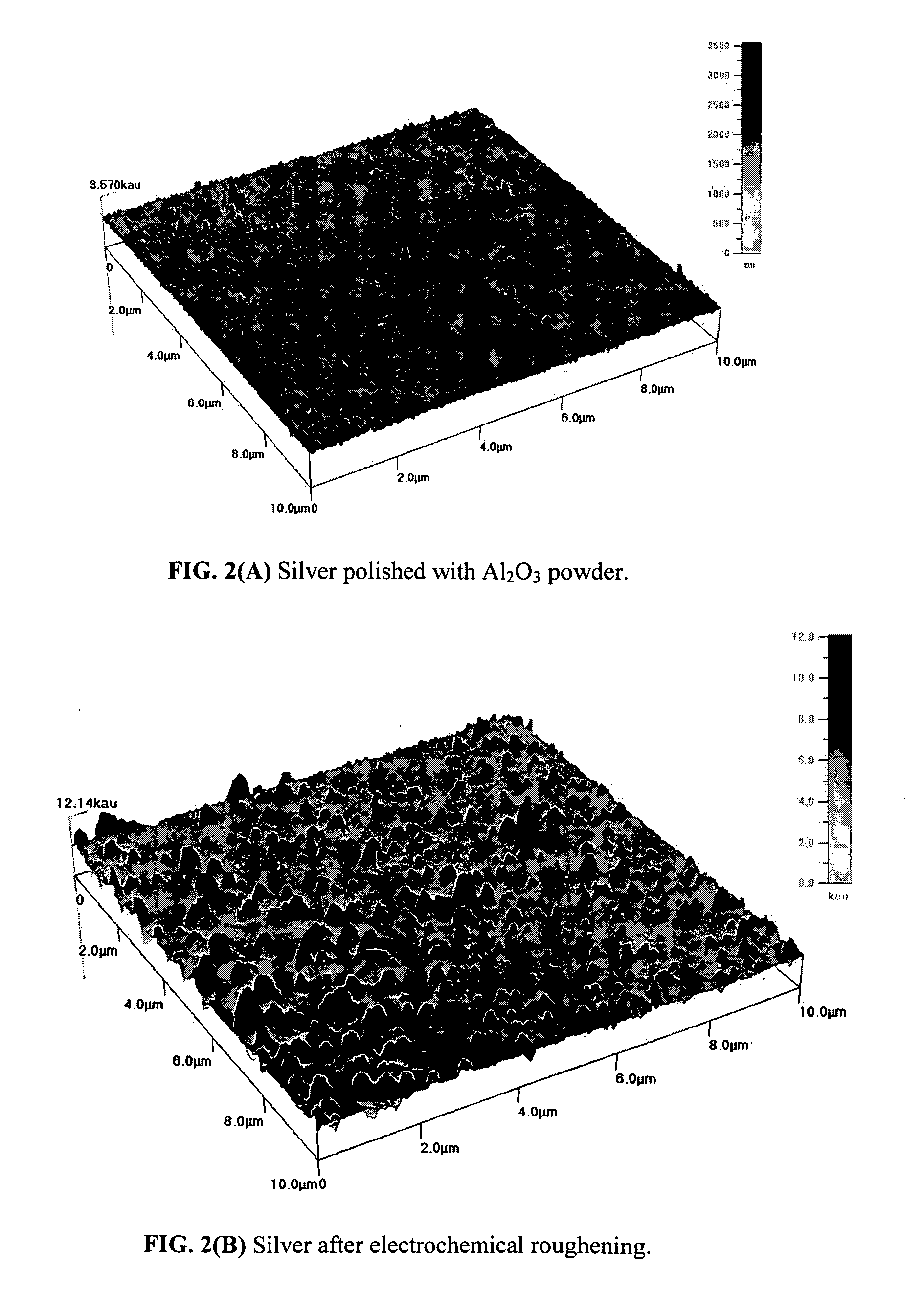 Photocatalytic electrode and fuel cell