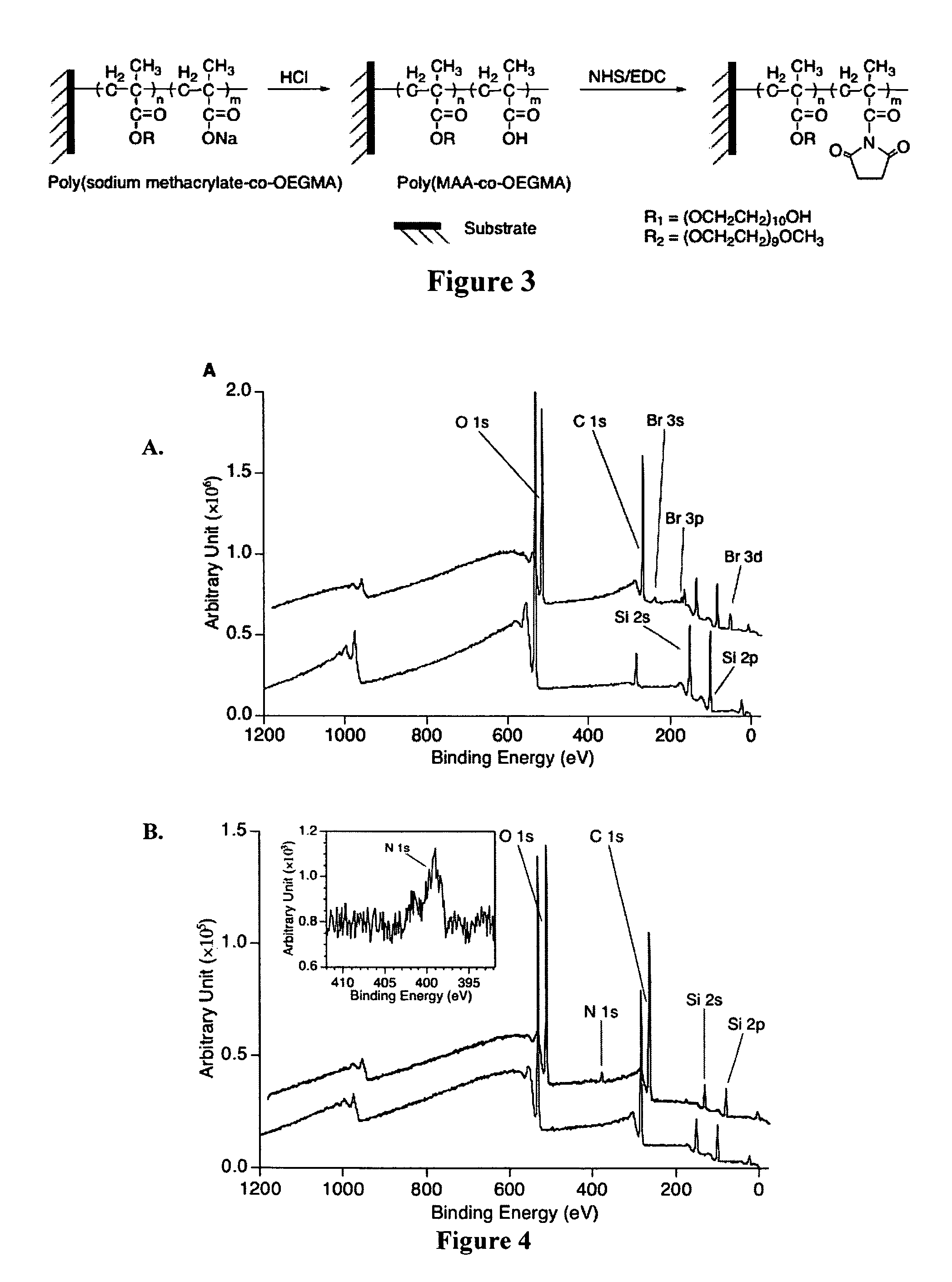 Non-fouling polymeric surface modification and signal amplification method for biomolecular detection