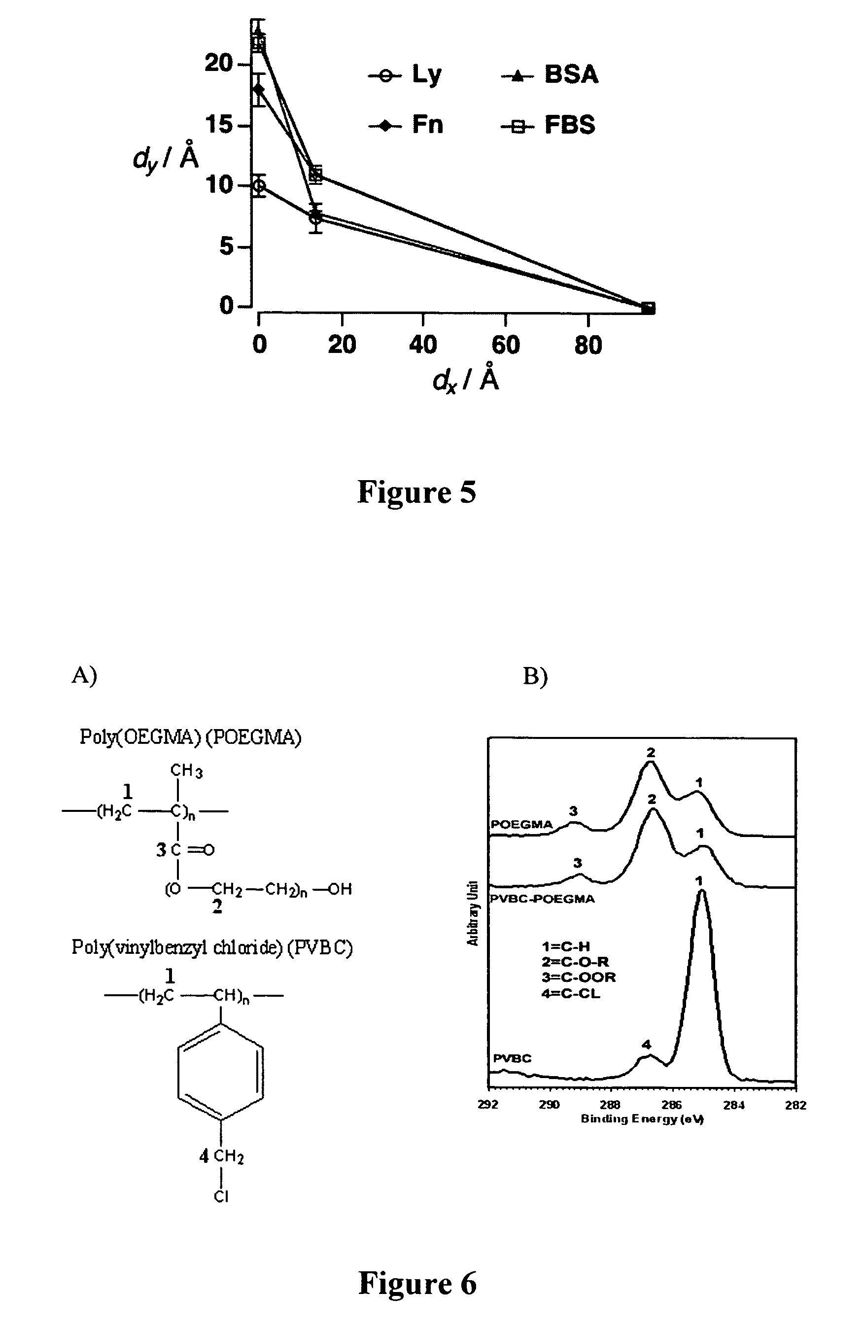 Non-fouling polymeric surface modification and signal amplification method for biomolecular detection