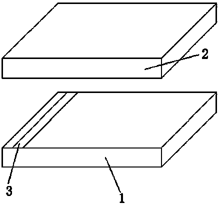 A Microscopic Slide Specimen of Full Phase of Meiosis