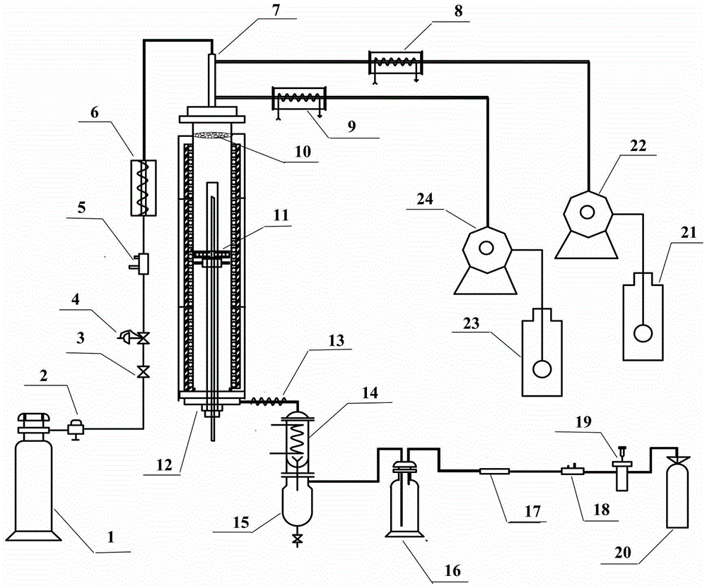 Apparatus and method for producing biosynthesis gas
