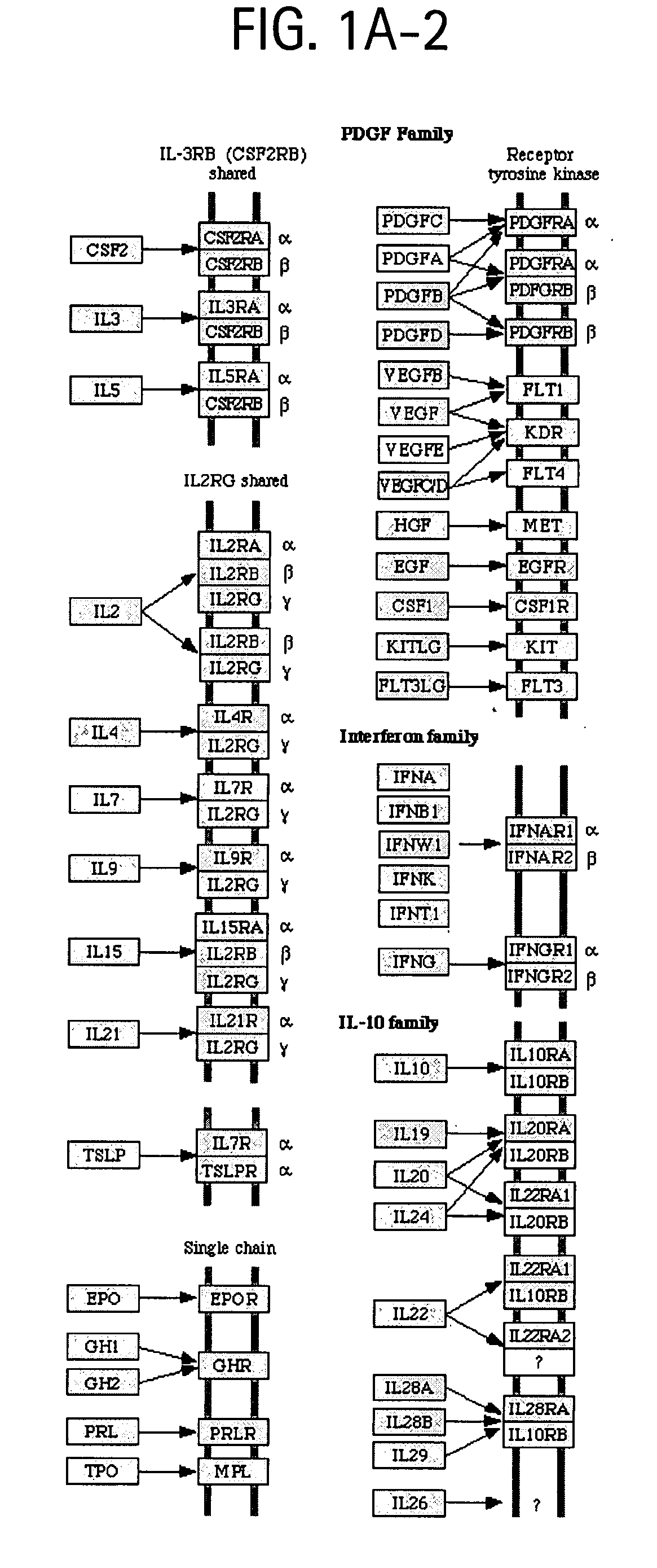 Osteoporosis associated markers and methods of use thereof