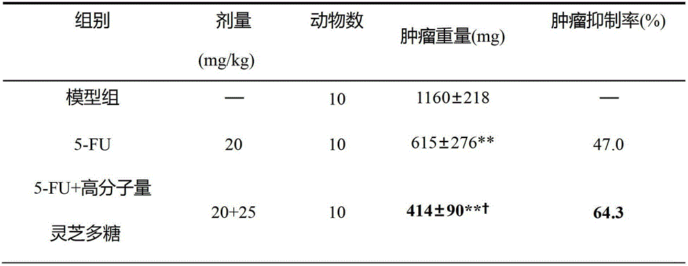 Ganoderma lucidum polysaccharide of high molecular weight and detection method thereof