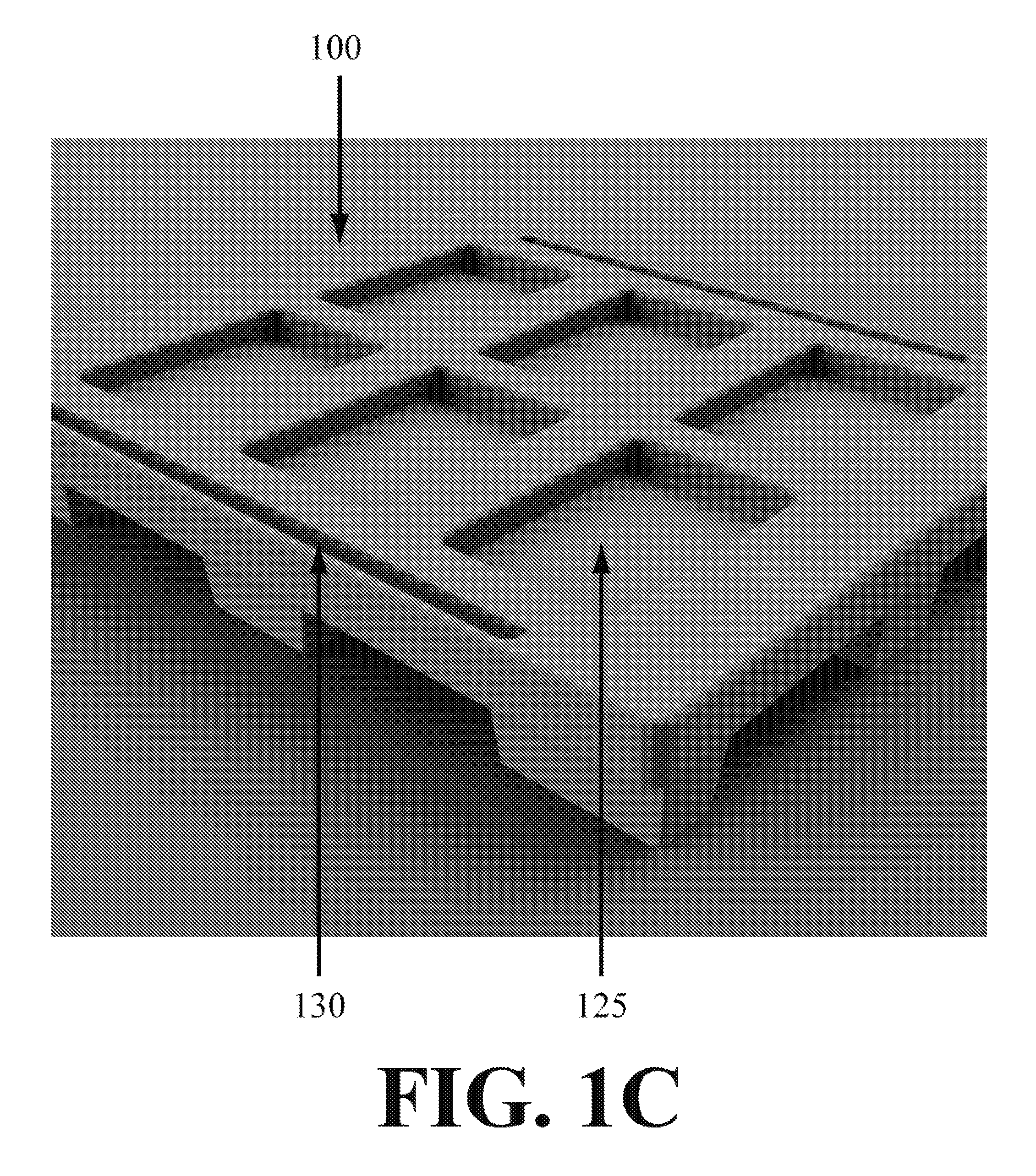 Cargo container for storing and transporting cargo