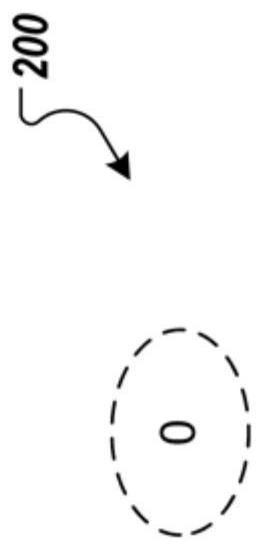 Frequency hiding and order-preserving encryption