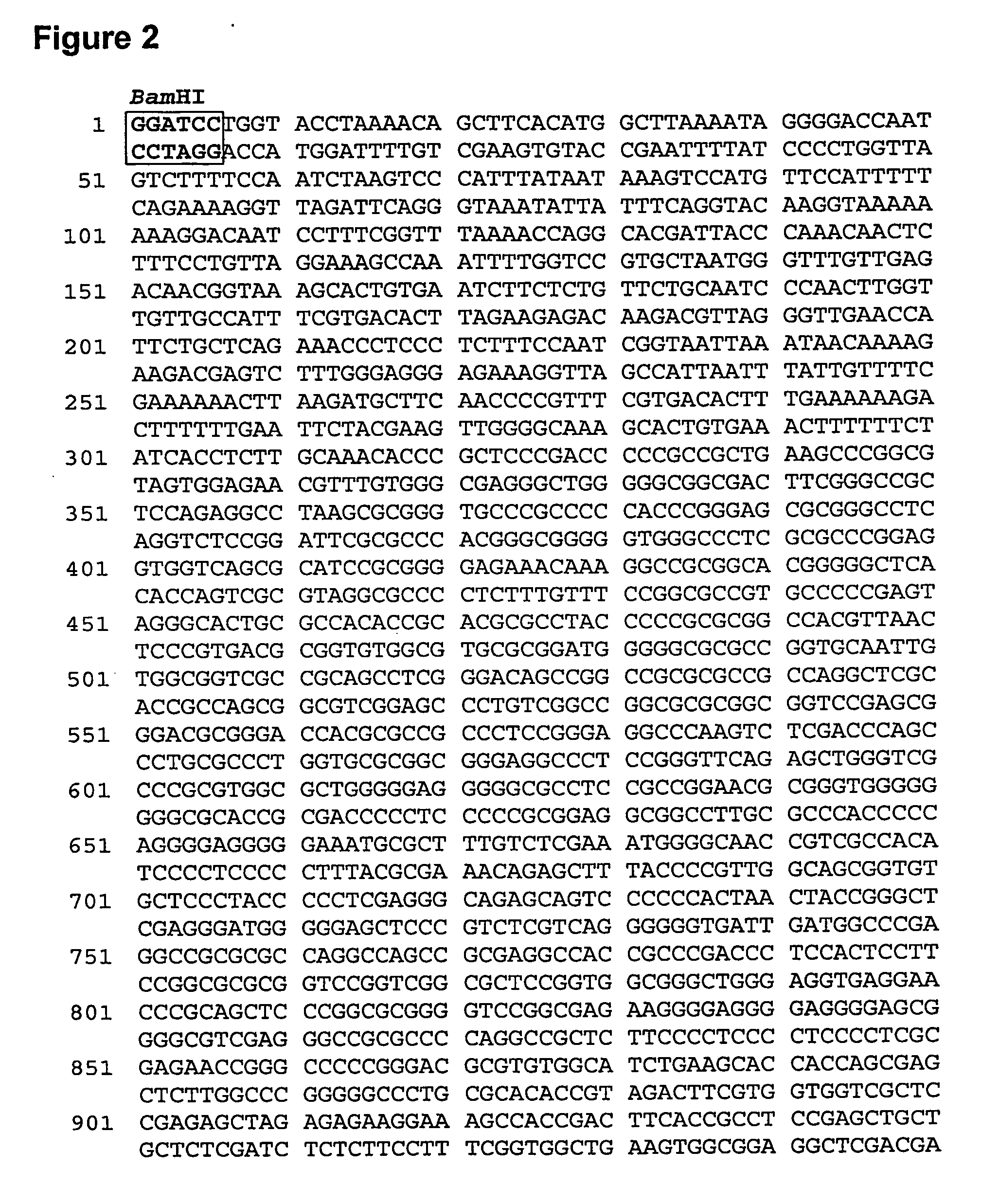 Expression Elements