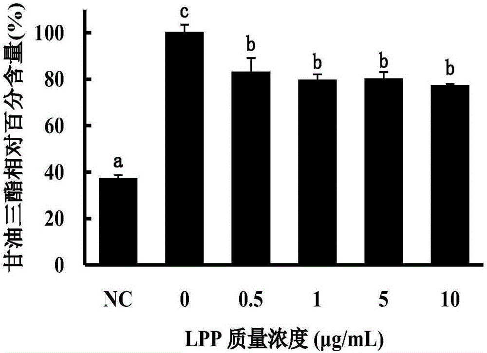 Method for purifying main-effect phenolic ingredients inhibiting hepatic cell lipid accumulation in litchi pulp
