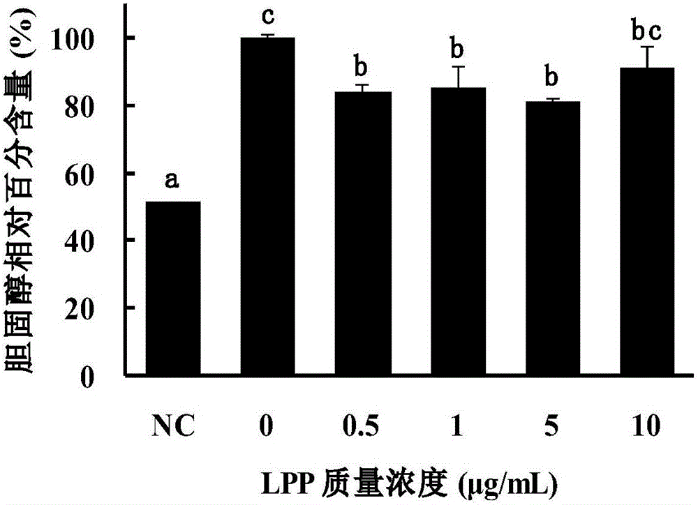 Method for purifying main-effect phenolic ingredients inhibiting hepatic cell lipid accumulation in litchi pulp