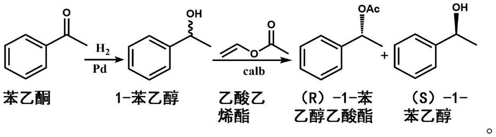 A millimeter sphere catalyst for one-step synthesis of chiral alcohols and chiral esters from acetophenone