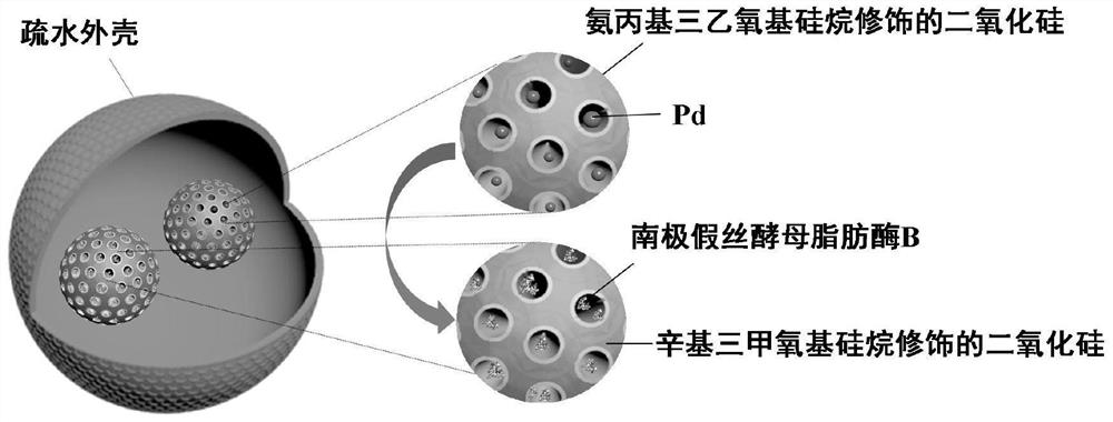 A millimeter sphere catalyst for one-step synthesis of chiral alcohols and chiral esters from acetophenone