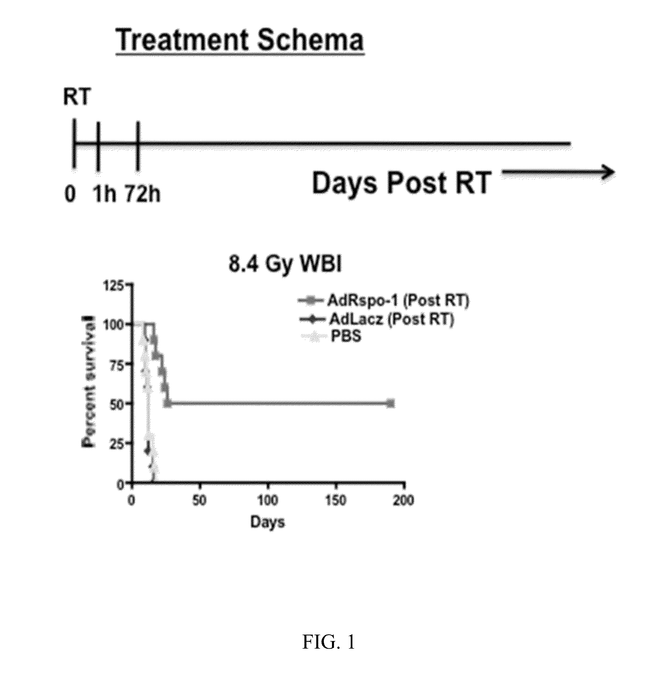 Therapy for radiation-induced lung injury