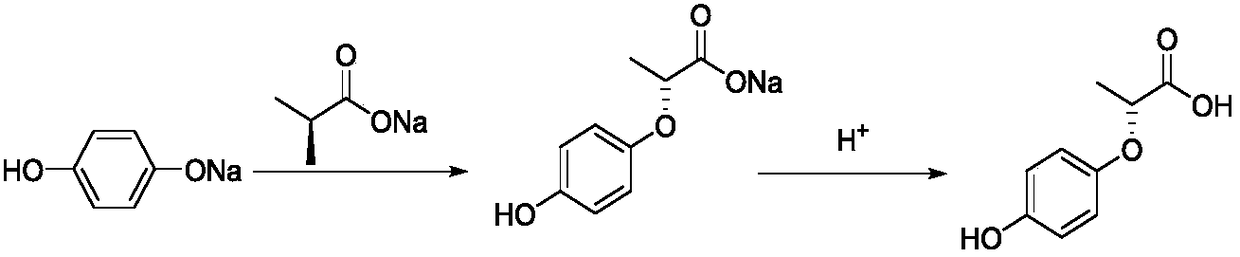 Synthesis method of R-(+)-2-(4-hydroxyphenoxy) propionic acid
