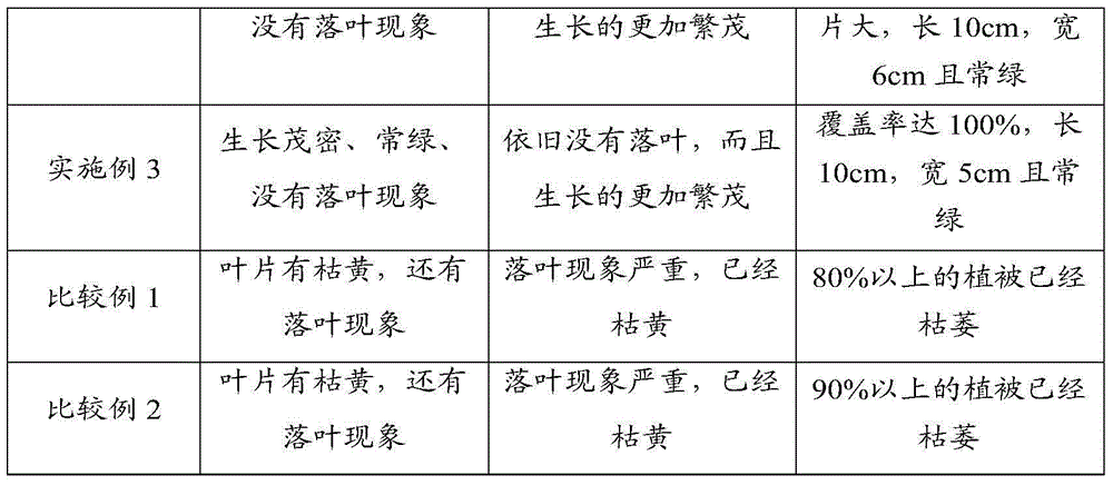 Breeding method for evergreen broadleaved green plant