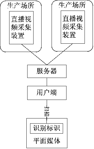 Video collecting device, recognition identifier, server, client, and marketing system