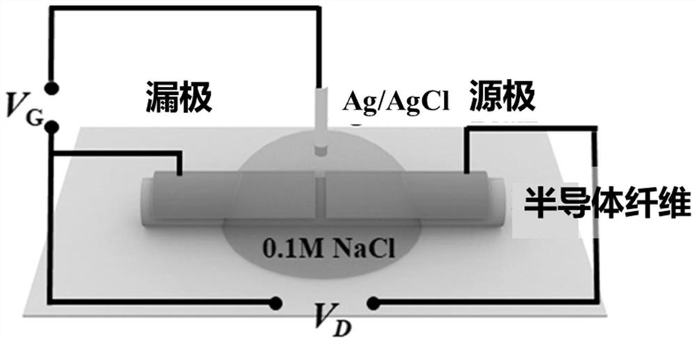 Polymer-based semiconductor fiber and preparation and application thereof