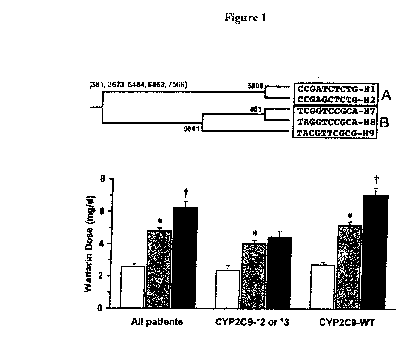 Methods and compositions for predicting drug responses