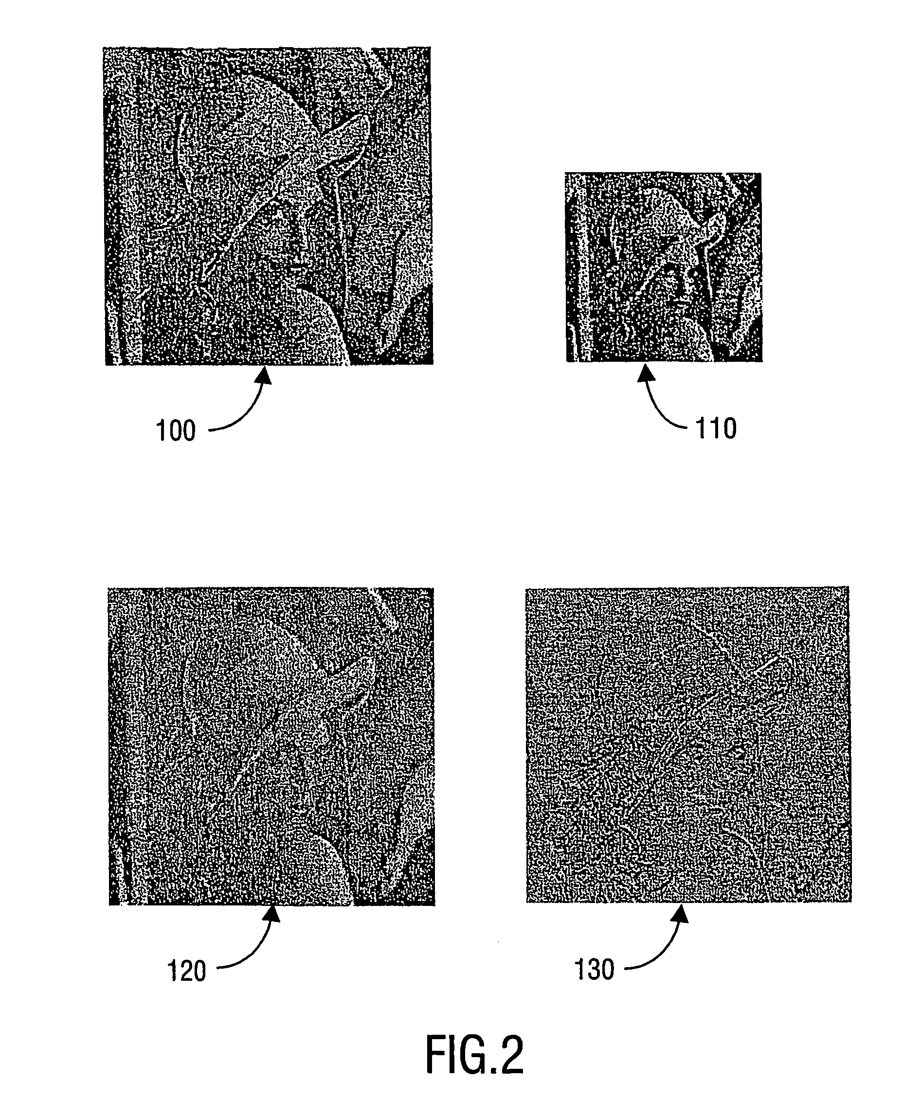System and method for encoding and decoding enhancement layer data using descriptive model parameters