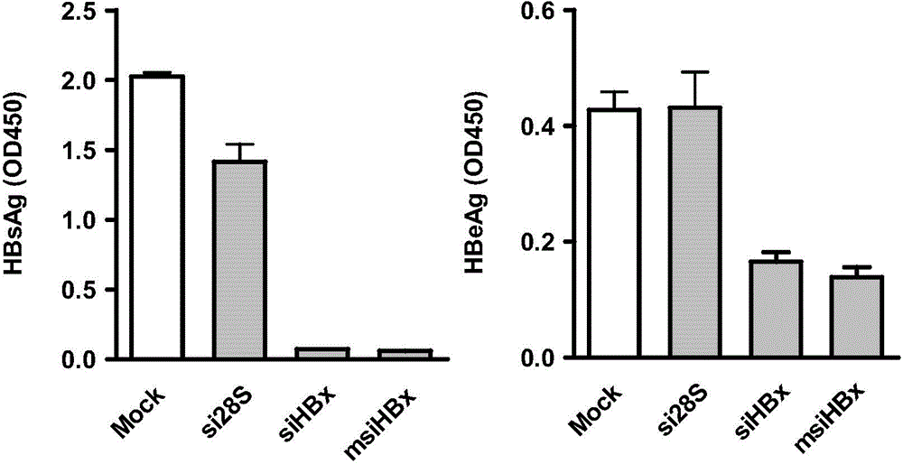 Sequence of hepatitis B virus (HBV) specific microRNA like siRNA (msiRNA) and application thereof