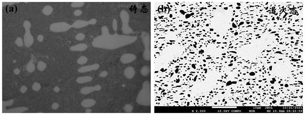 Co-Cr-Fe-Ni-V-B eutectic high-entropy alloy with excellent thermal modification and preparation method of Co-Cr-Fe-Ni-V-B eutectic high-entropy alloy