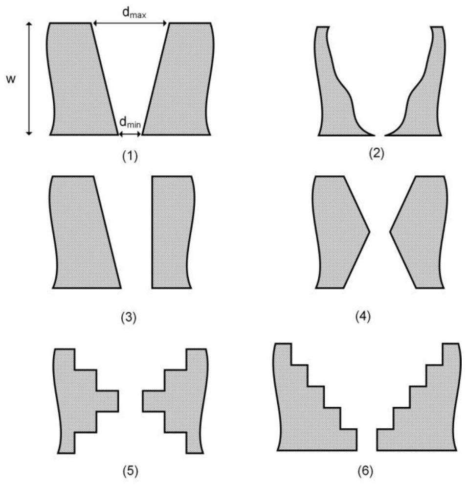 A kind of in-plane read/write operation ferroelectric memristor and its preparation method