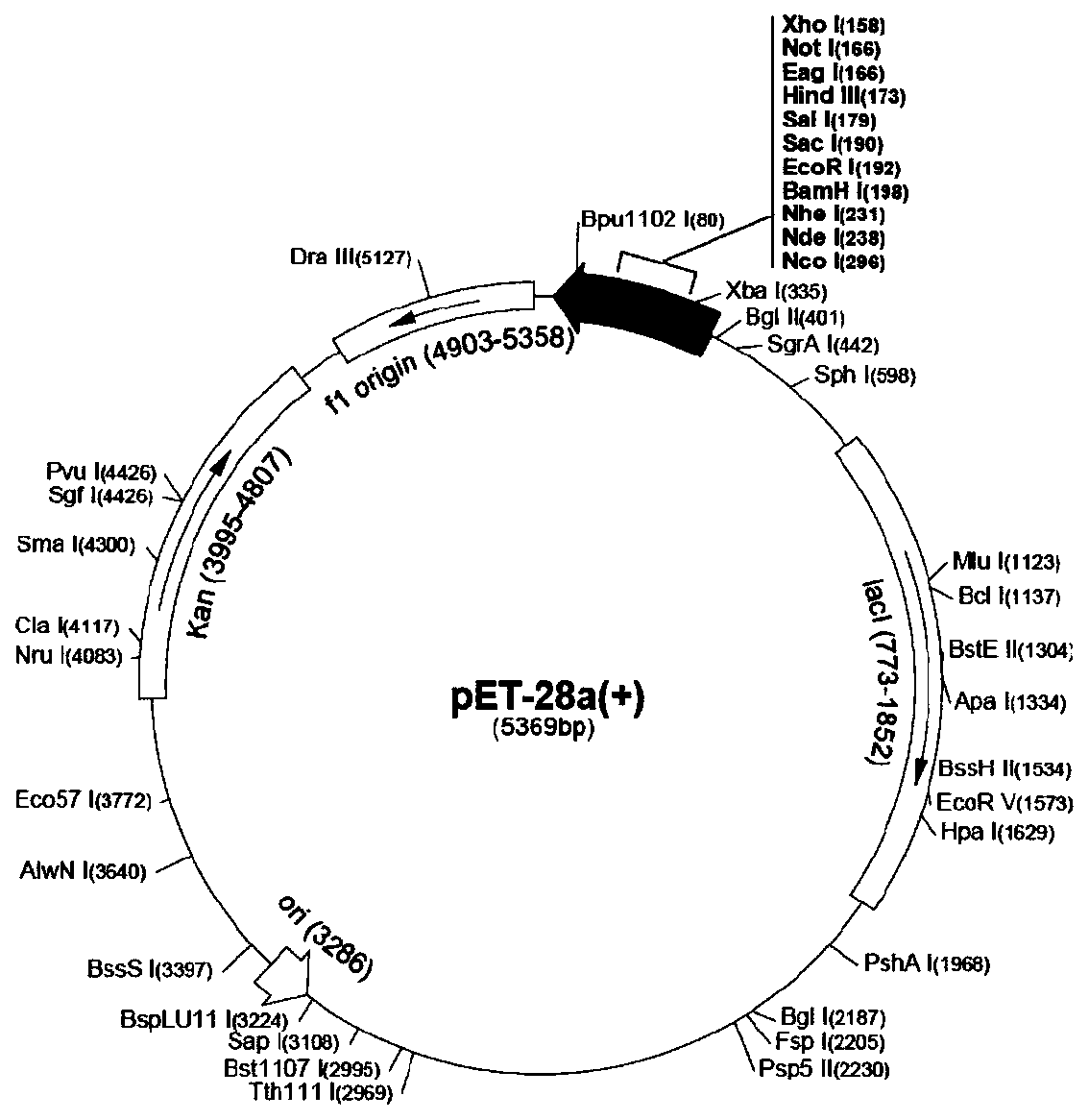 Tomato sllcd gene and its application