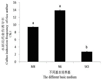 Cultivation method of rice germplasm with high-resistant starch and low-amylose starch
