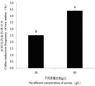 Cultivation method of rice germplasm with high-resistant starch and low-amylose starch