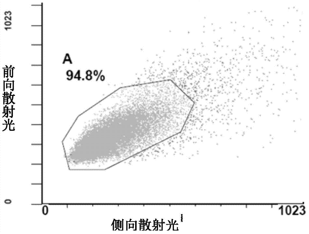 Anti-human Fc epsilon RI alpha subunit monoclonal antibody and application thereof