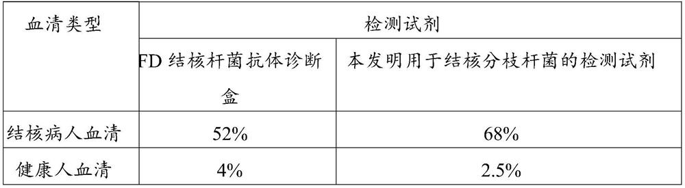 Combined protein and detection reagent for the detection of Mycobacterium tuberculosis