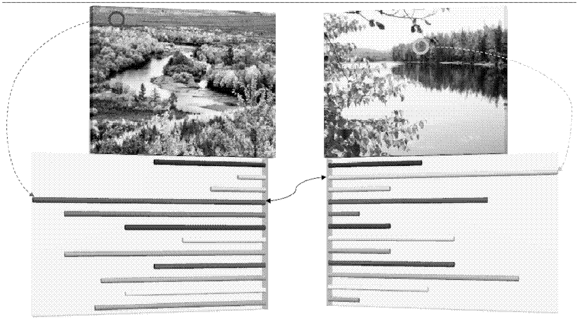 Color conversion and editing propagation-based method for enhancing seasonal feature of image
