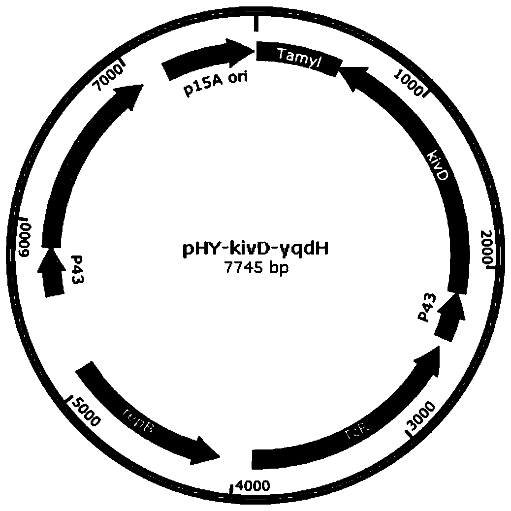 Whole-cell catalyst containing phenylpyruvic acid decarboxylase mutant and application to production of phenethyl alcohol