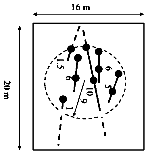 Unbiased crack characterization method